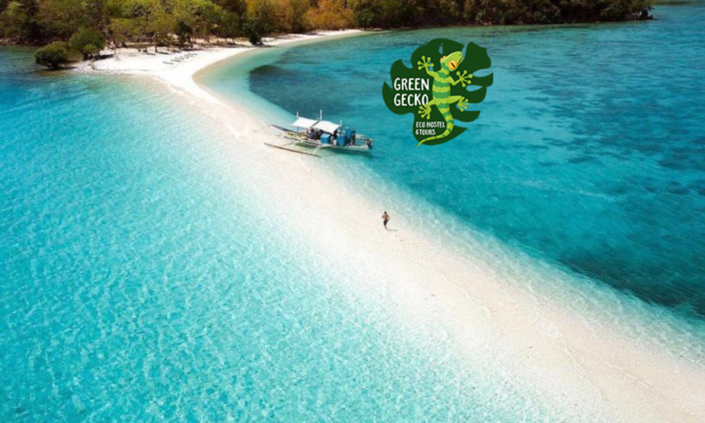 Donsol - Green Gecko Philippines Island Hopping