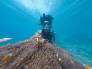 photo of person swimming near school of clown fish