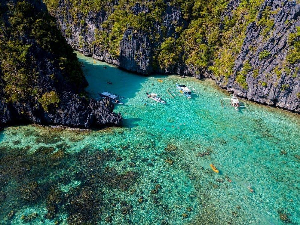 el nido