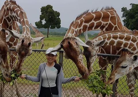 Wildlife Safari in Coron: Meet Giraffes & Zebras Calauit