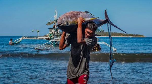 You are currently viewing What’s It REALLY Like To Be A Fisherman in Palawan? This Story Will Surprise You