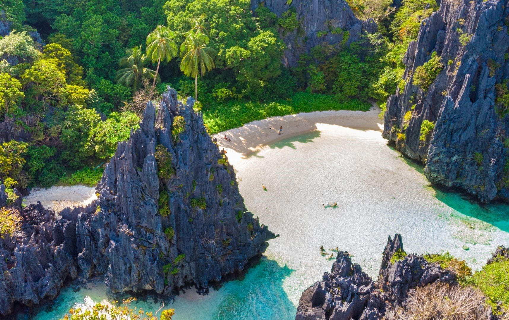 Palawan Marine Sanctuary