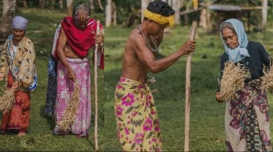 Palawan's Cultural Expressions: With Local Music and Dance