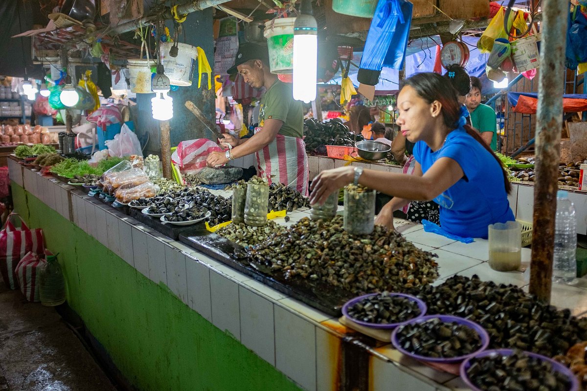 Sustainable Seafood Practices in Palawan for 2024