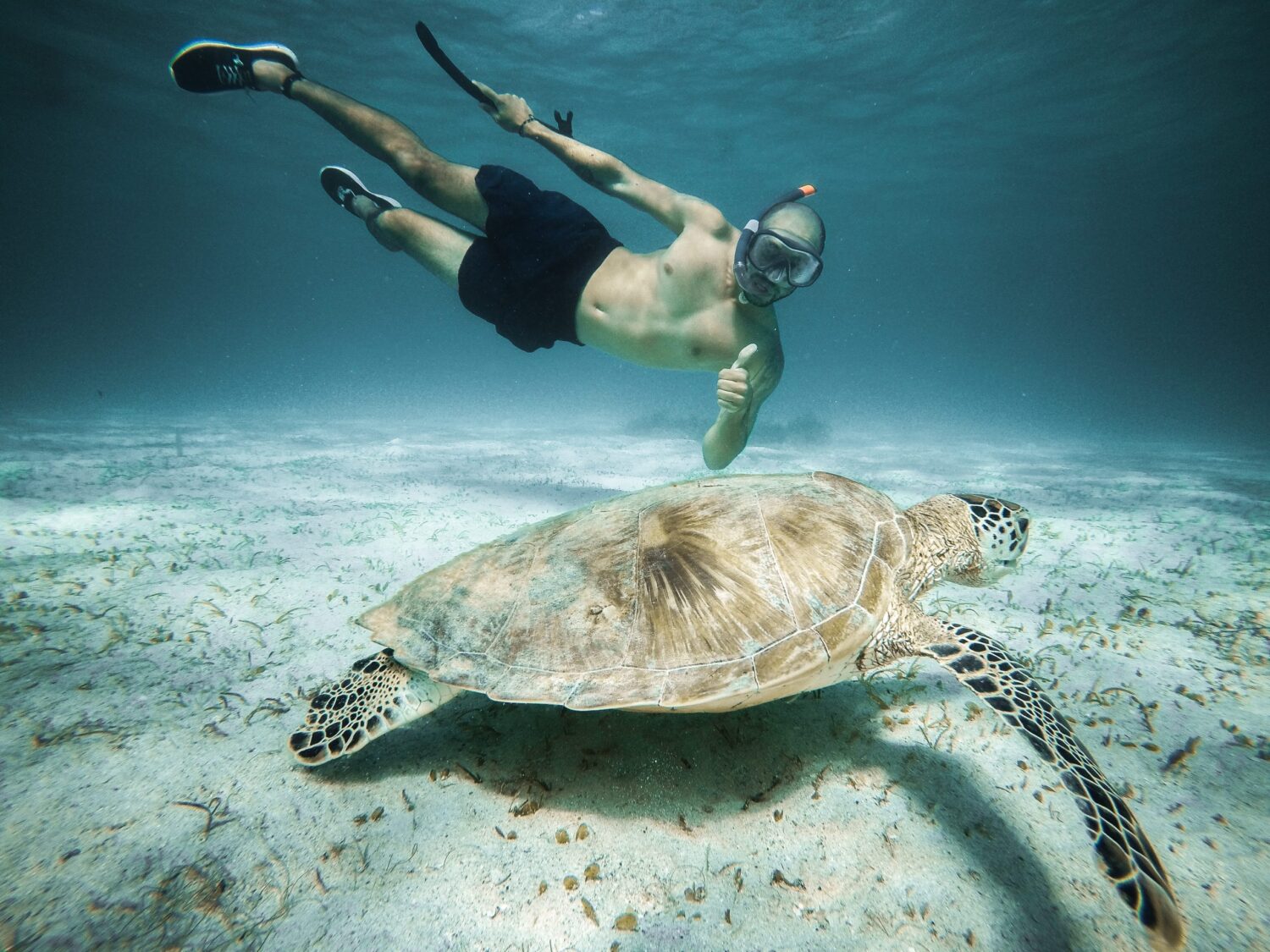 snorkeling