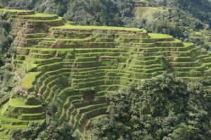 Read more about the article Banaue Rice Terraces: A Marvelous Stairway Carved into Time