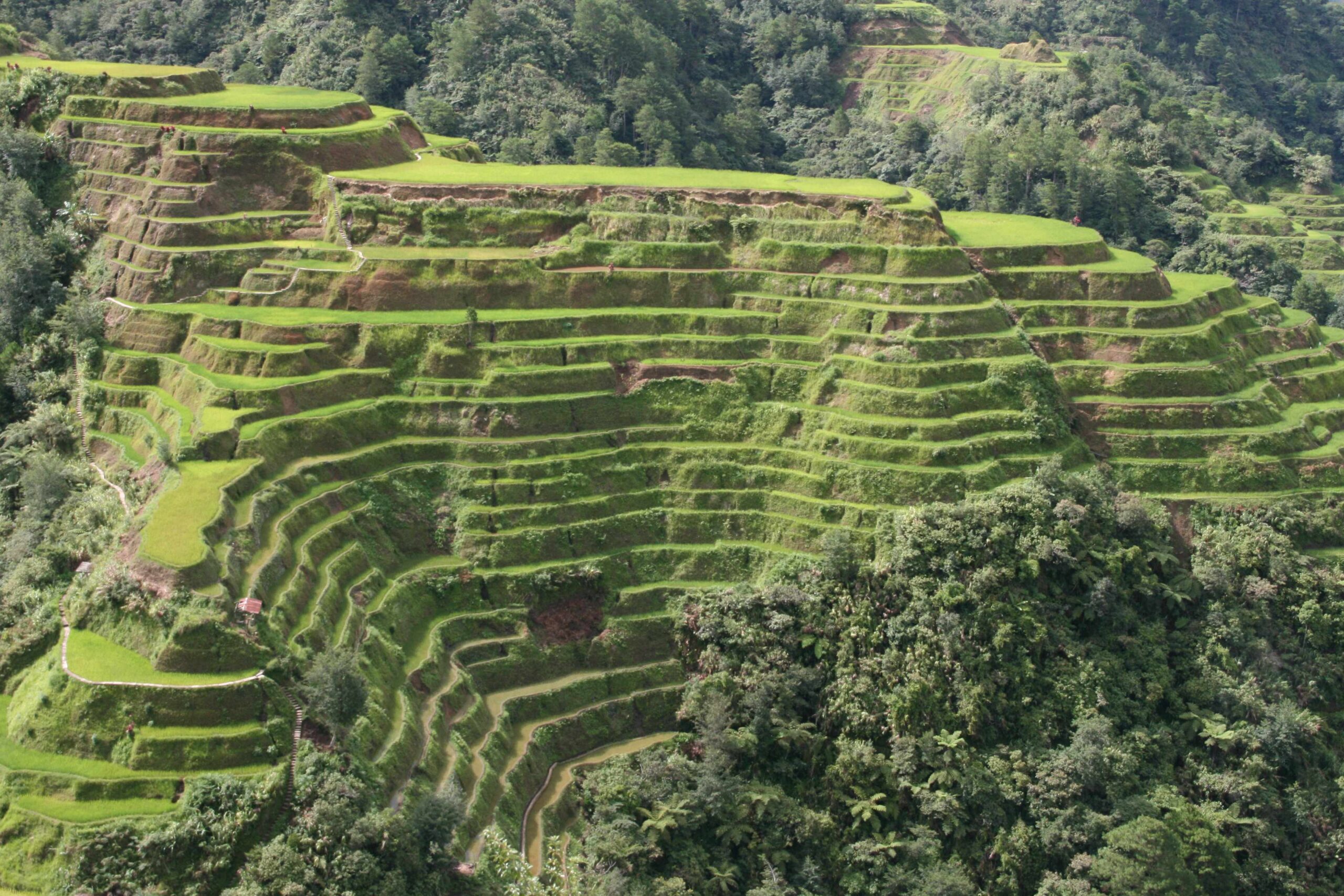 You are currently viewing Banaue Rice Terraces: A Marvelous Stairway Carved into Time