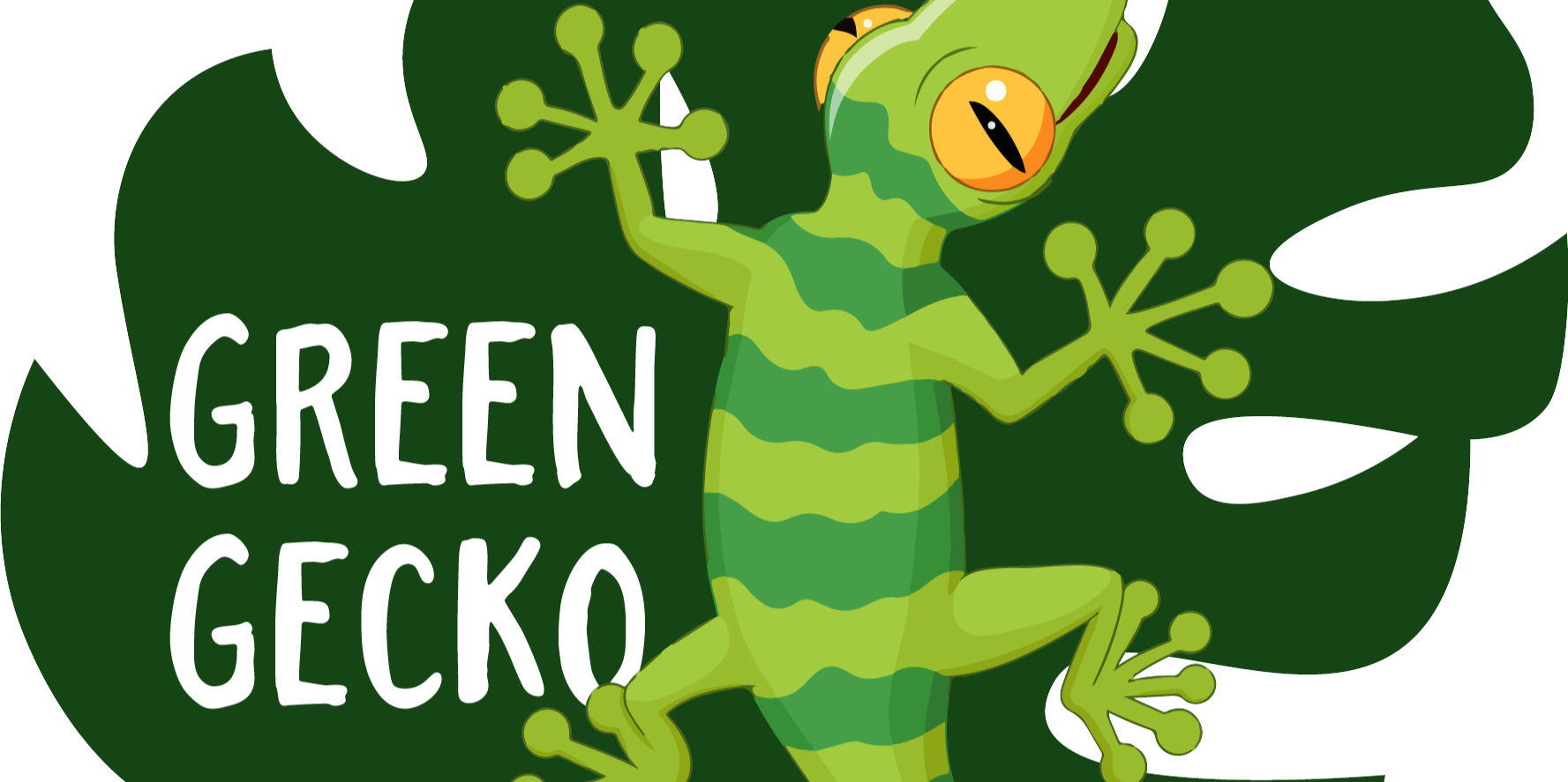 Green Gecko Tours