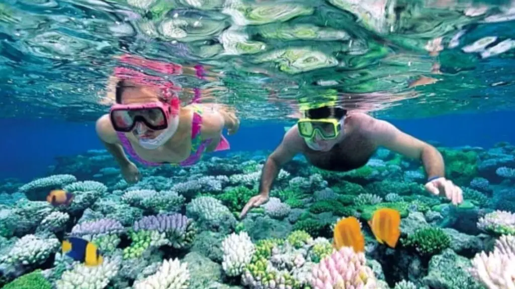 snorkel tour coral reefs siete pecados boat expedition
