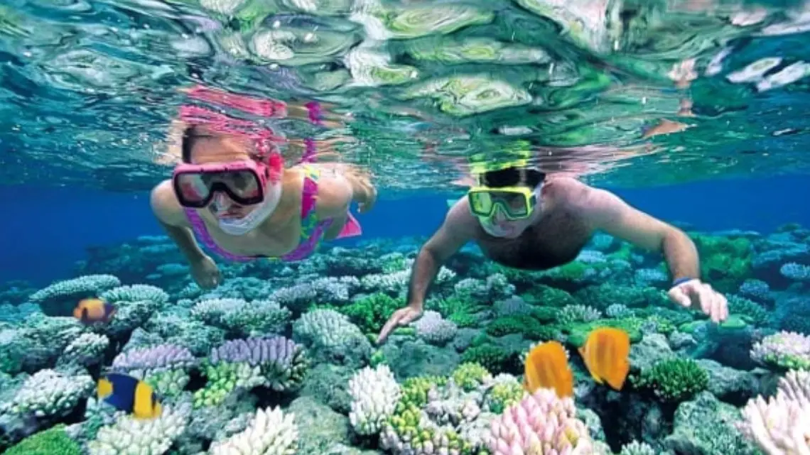 snorkel tour coral reefs siete pecados boat expedition