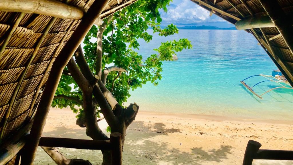 beach pristine water tree hut island 3 day expedition coron to el nido