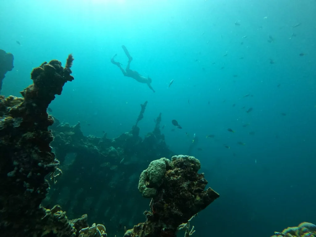 Unforgettable Coron Diving: Stunning Shipwrecks, Playful Dugongs, Graceful Turtles & Mesmerizing Marine Life – Gotta Love It! 2 Coron Shipwreck | Photo by Mikkel søvik